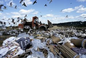 landfill 300x201 Stunning Recycling Statistics and Facts