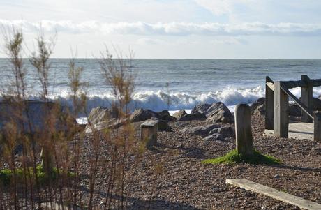 Worthing water garden 2 One thing leads to another…