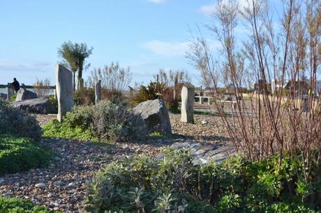 Worthing drought garden One thing leads to another…