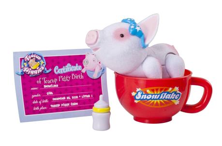 Hot New Gift Idea: Teacup Piggies and Piglets