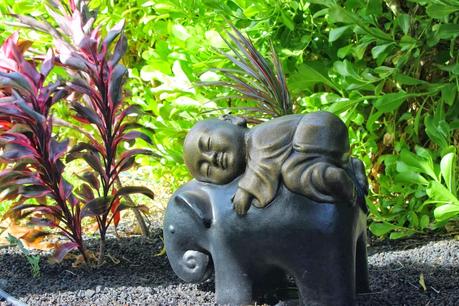 Elephant and Ricky Elephant and Ricky