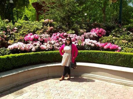 Travel: Disneyland, Paris Travel: Disneyland, Paris