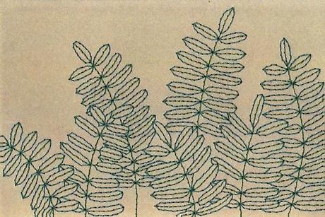 sarah-k-benning-ferns