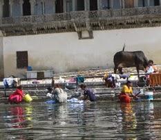 DOING LAUNDRY IN INDIA, Guest Post by Ann Whitford Paul