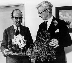 Perutz and John Kendrew, 1962. Image credit: Nobel Foundation.
