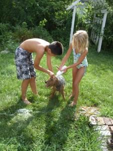 50 Fun Things To Do In Your Bathing Suit This Summer Washing the dog one of many things you can do in your swimsuit