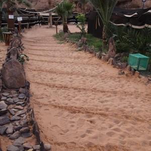 Captain’s Desert Camp, Wadi Rum: Eat and Sleep Like a Bedouin Captain_Desert_Camp_Wadi_Rum_Jordan035