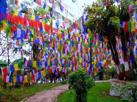 Celebration of Buddha Purnima in Darjeeling