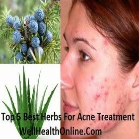 Best Herbs For Acne Treatment