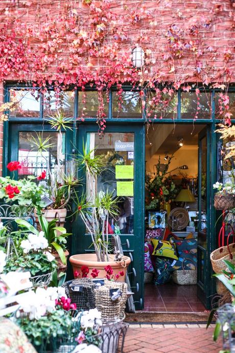 Weekend Getaways queenscliff stores
