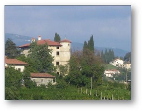 Old World Vines: Exploring Hungarian & Slovenia Wines
