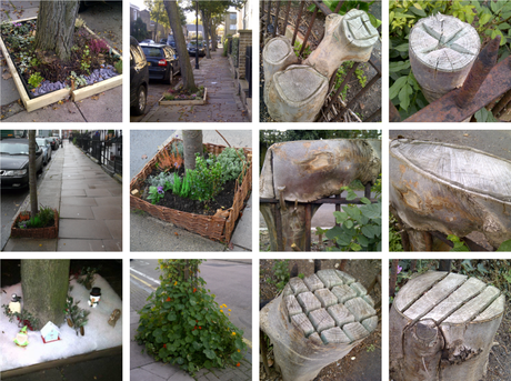 Guerilla gardening in North London