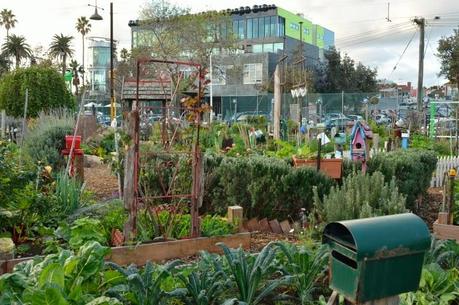 Food growing inspiration from Veg Out Community Garden - St Kilda