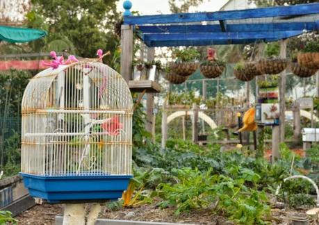 Food growing inspiration from Veg Out Community Garden - St Kilda