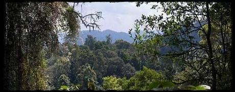 Rwanda: Govt to Monitor Greenhouse Gas Emissions (Page 1 of 2) Rwanda: Govt to Monitor Greenhouse Gas Emissions (Page 1 of 2)