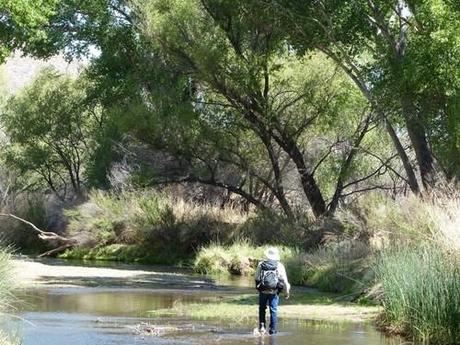 Court Upholds the San Pedro River’s Right to Water | Earthjustice Court Upholds the San Pedro River’s Right to Water | Earthjustice
