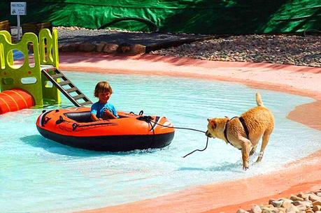 child on boat being pulled by dog