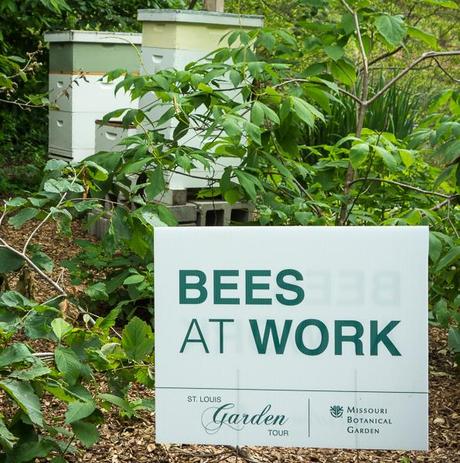 Garden Tour for #WeekendCooking Bees