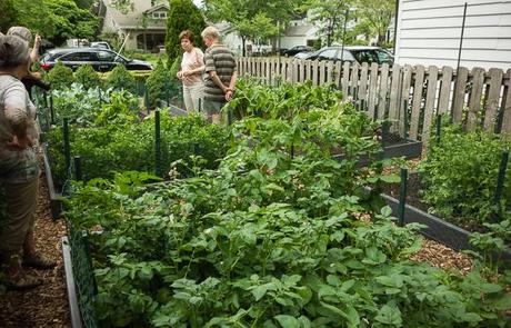 Garden Tour for #WeekendCooking Suburban Vegetable Garden