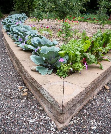 Garden Tour for #WeekendCooking Raised vegetable garden