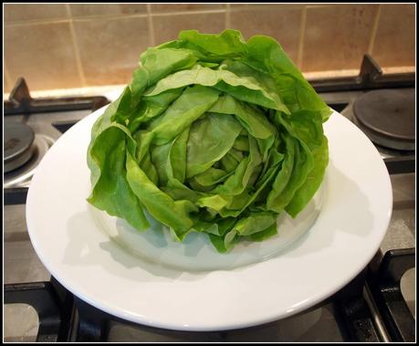 Bragging Rights - Lettuces Bragging Rights - Lettuces