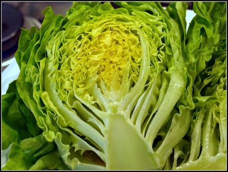 Bragging Rights - Lettuces Bragging Rights - Lettuces