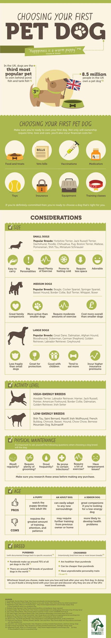 La elección de la comida para perros derecho La elección de la comida para perros derecho