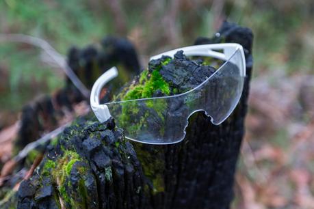 lost glasses on tree stump