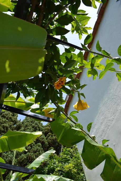 A red striped beachwear ilovegreeninspiration_on_an_island_dressing_02