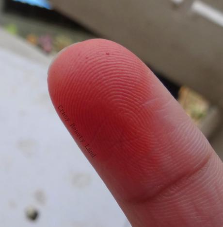 Rimmel Stay Blushed Liquid Cheek Tints in Pop of Pink (001) and Sunkissed Cherry (002)- Review and Swatches Rimmel Stay Blushed Liquid Cheek Tints in Pop of Pink (001) and Sunkissed Cherry (002)- Review and Swatches