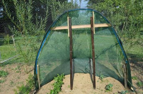 Cheap Fruit and Veg Cage