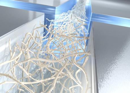 Biodegradable fibers as strong as steel