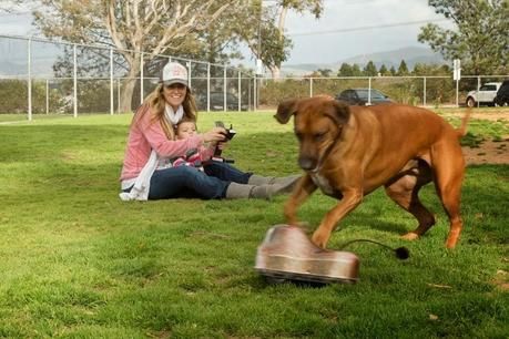 Remote control dog toy promotes fitness Remote control dog toy promotes fitness