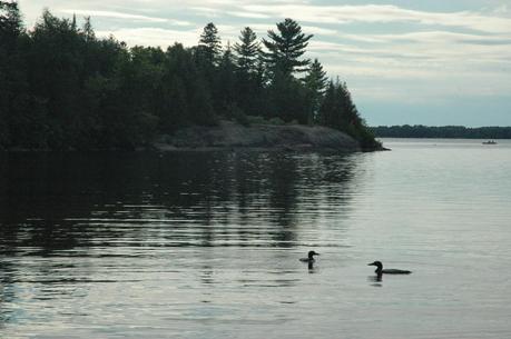 Photography Services in the Ottawa Valley Photography Services in the Ottawa Valley
