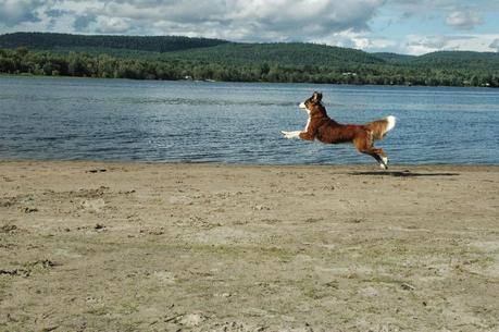 Photography Services in the Ottawa Valley Photography Services in the Ottawa Valley