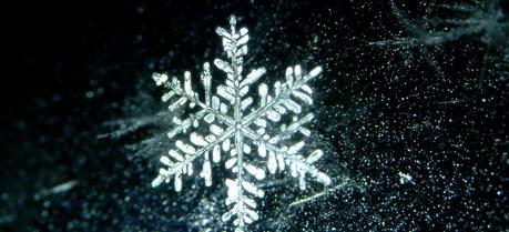 Snowflakes Help Study Wind Turbine Airflow Snowflakes Help Study Wind Turbine Airflow