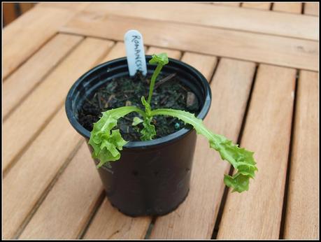 Second thoughts Second thoughts