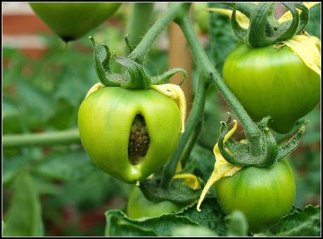 Second thoughts Second thoughts