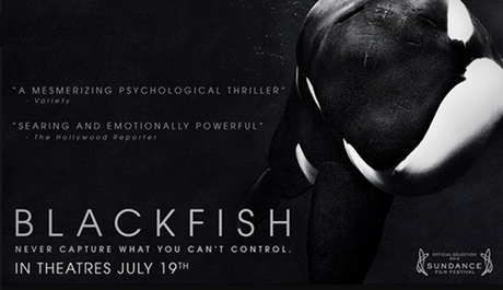 Blackfish (Documentary)