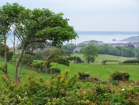 The Wight Weekend: Celebrity! The Wight Weekend: Celebrity!