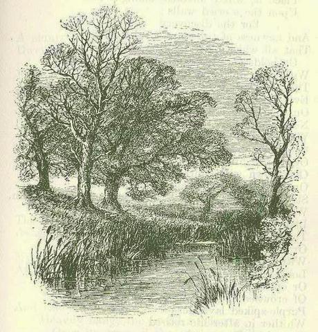 The Visual Tennyson The Visual Tennyson