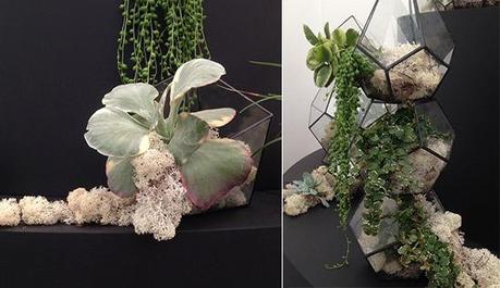 Grow London- terrarium inspiration by The Urban Botanist via MiaFleur