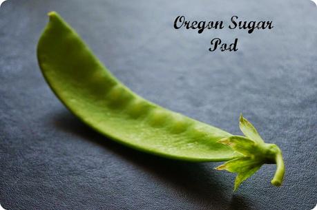 Mangetout Oregon Sugar Pod - 'growourown.blogspot.com' ~an allotment blog Mangetout Oregon Sugar Pod - 'growourown.blogspot.com' ~an allotment blog