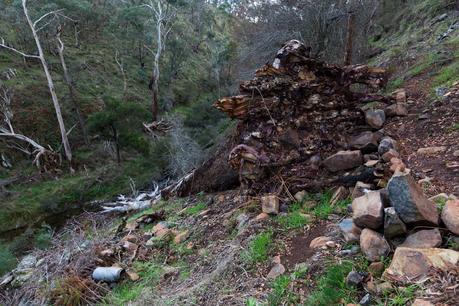 fallen tree across tipperary track