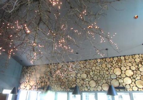 earth-restaurant-chandelier