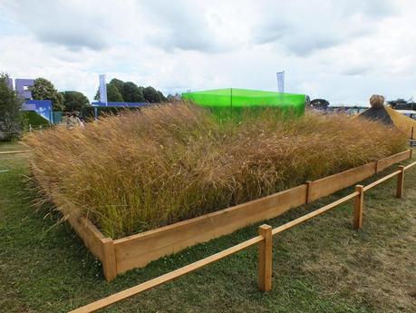 RHS Hampton Court Flower Show 2014 - Show Gardens