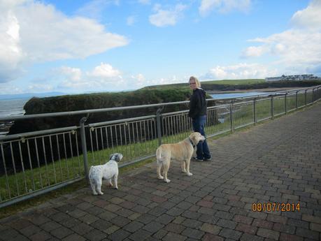 Home from Oz Home from Oz