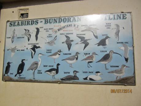 Home from Oz Home from Oz