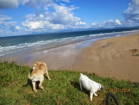 Home from Oz Home from Oz