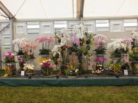 RHS Hampton Court Flower Show 2014 - Floral Marquee RHS Hampton Court Flower Show 2014 - Floral Marquee
